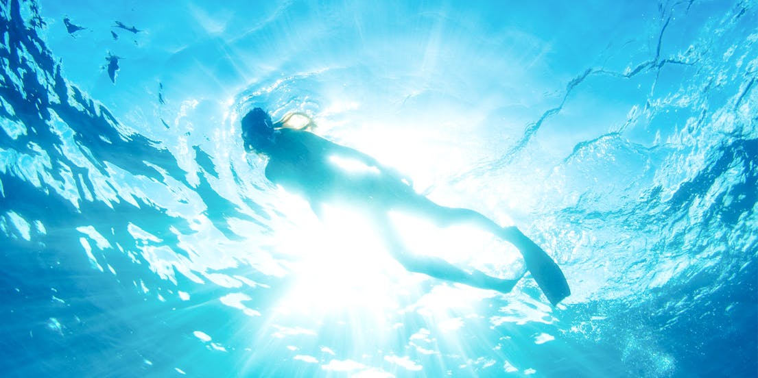 Excursões de snorkel em Maui