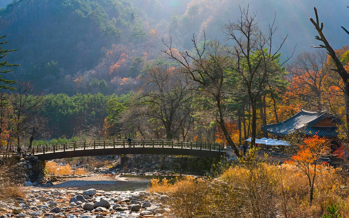 full-day guided tour of nami island and mount seorak with transfers-6 full-day guided tour of nami island and mount seorak with transfers-6