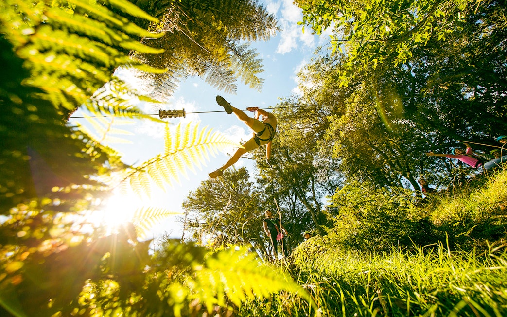 Person ziplining through lush forest in Rotorua, New Zealand.