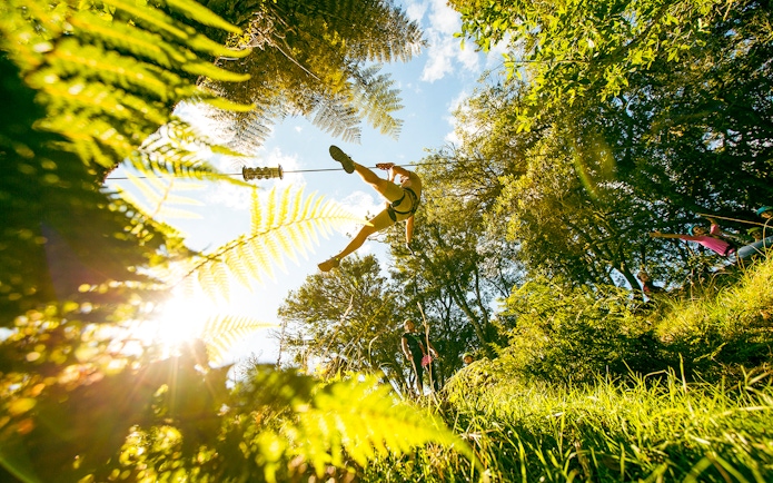 Person ziplining through lush forest in Rotorua, New Zealand.