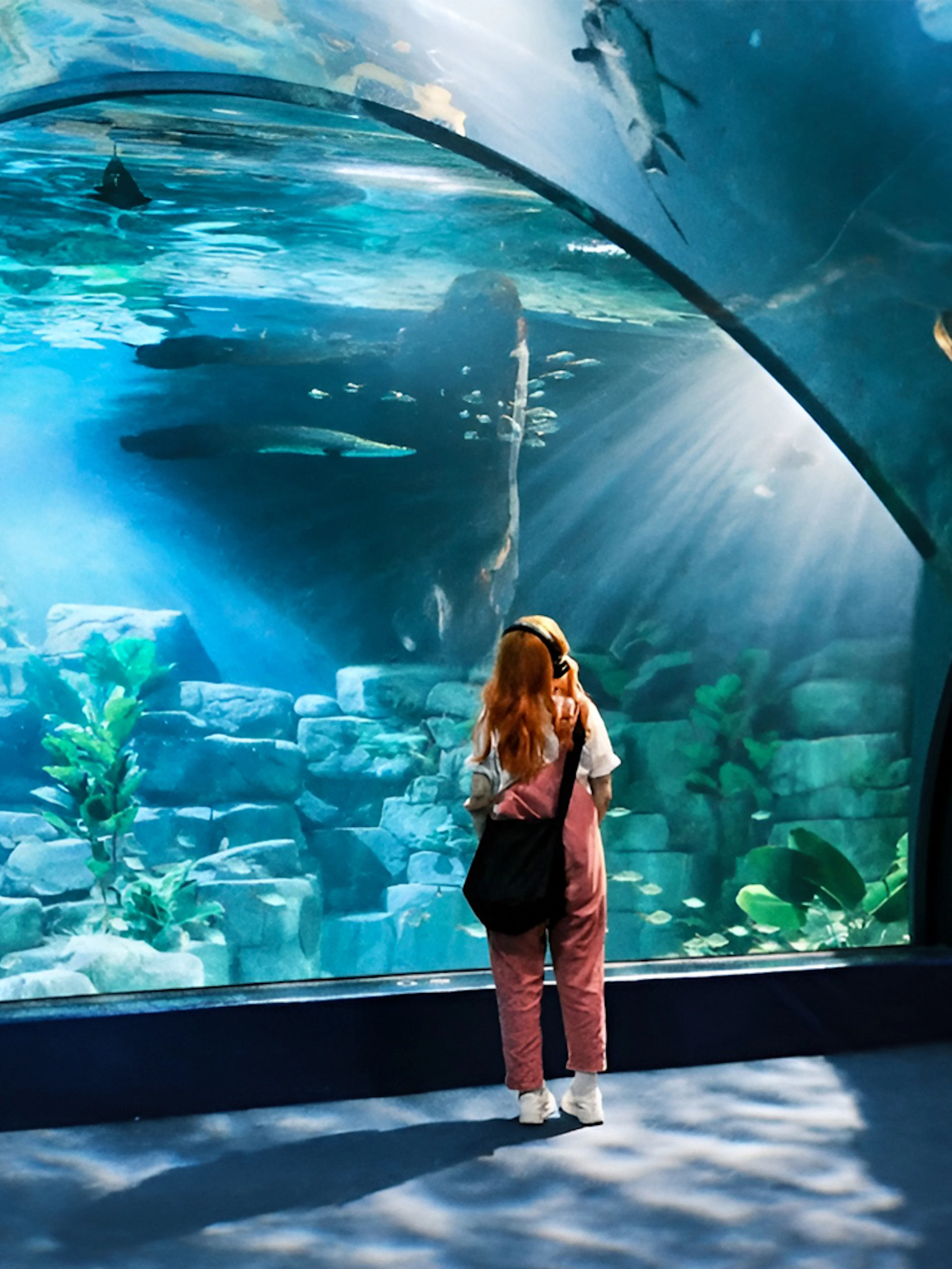 Lady observing marine life at Lotte World Aquarium, Seoul.