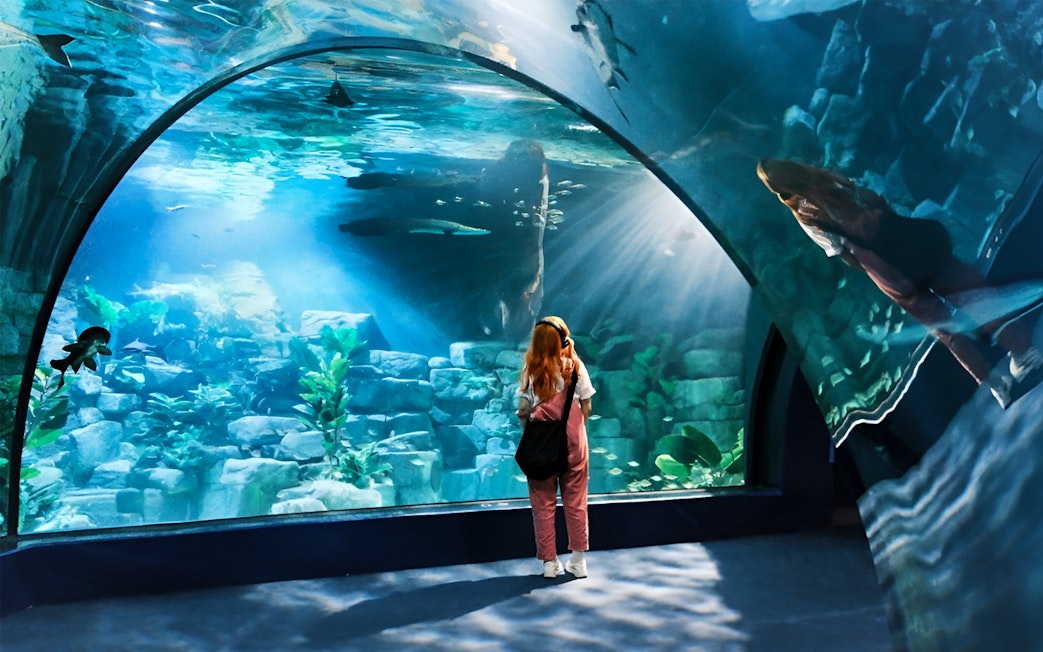 Lady observing marine life at Lotte World Aquarium, Seoul.