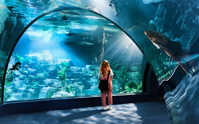 Lady observing marine life at Lotte World Aquarium, Seoul.