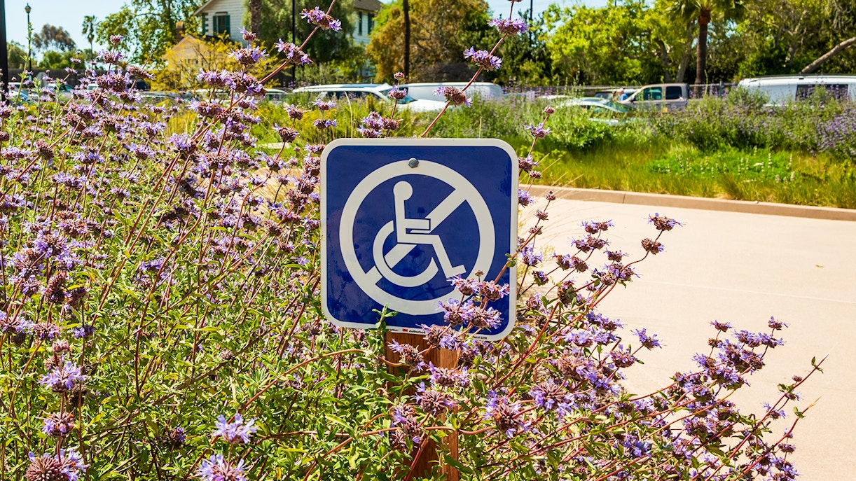 signboard which says no wheelchairs allowed