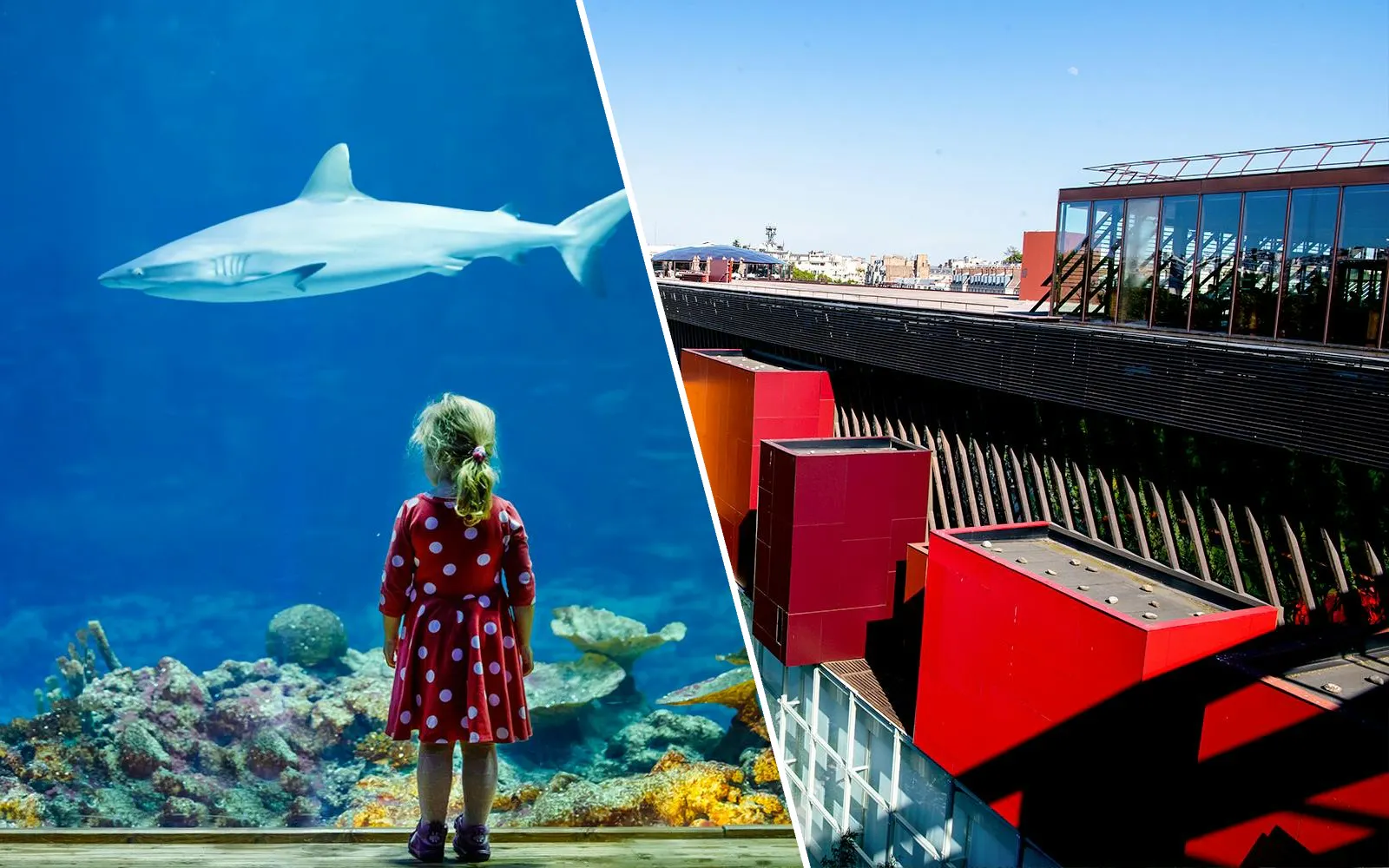 Girl watching shark at Aquarium de Paris; exterior of Musée du Quai Branly.