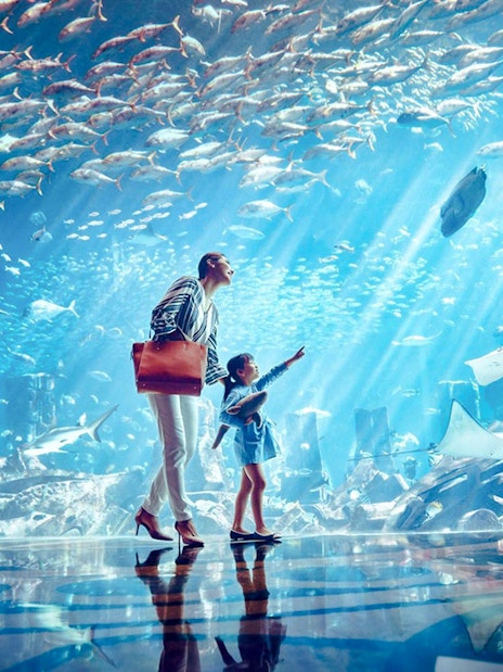 Visitors observing marine life at The Lost Chambers Aquarium, Atlantis, The Palm, Dubai.