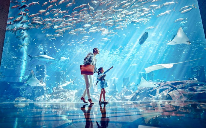 Visitors observing marine life at The Lost Chambers Aquarium, Atlantis, The Palm, Dubai.
