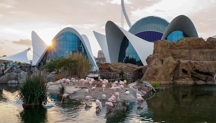 About Oceanografic Valencia