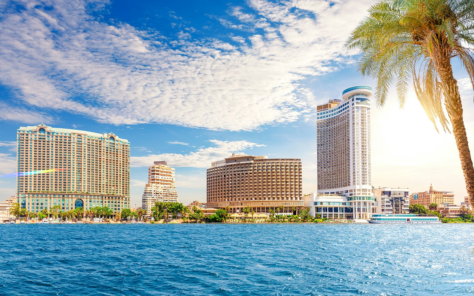 Skyscrapers and palm trees along the Nile River in Cairo, Egypt.