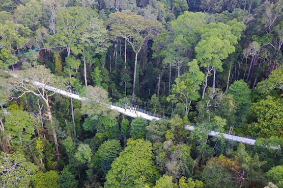 tickets to habitat penang hill-4