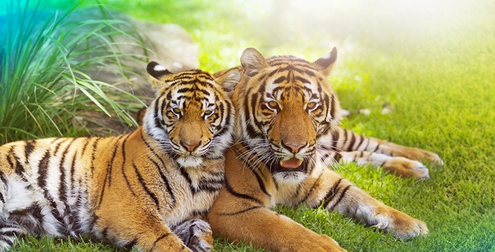 Did you know... πΎ