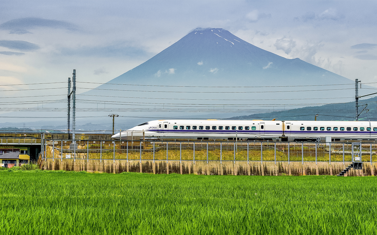 JR Pass & Shinkansen — Guide to Japan Bullet Trains