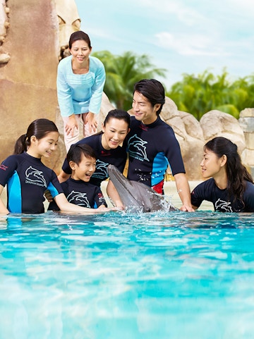 Group interacting with a dolphin at Dolphin Island, wearing wetsuits by a pool.