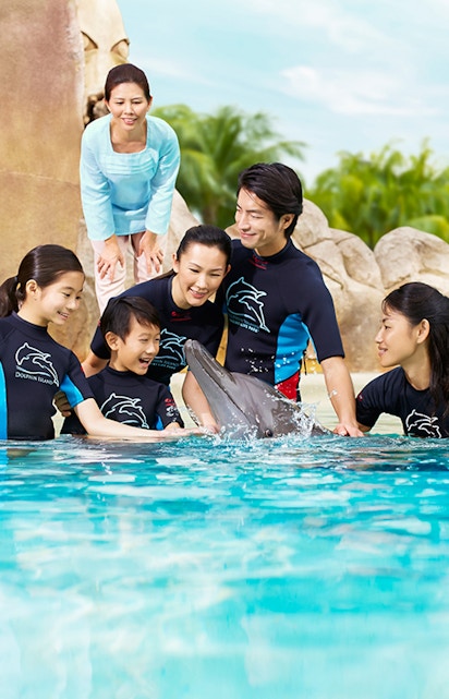 Group interacting with a dolphin at Dolphin Island, wearing wetsuits by a pool.
