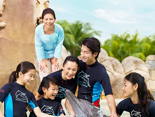 Group interacting with a dolphin at Dolphin Island, wearing wetsuits by a pool.