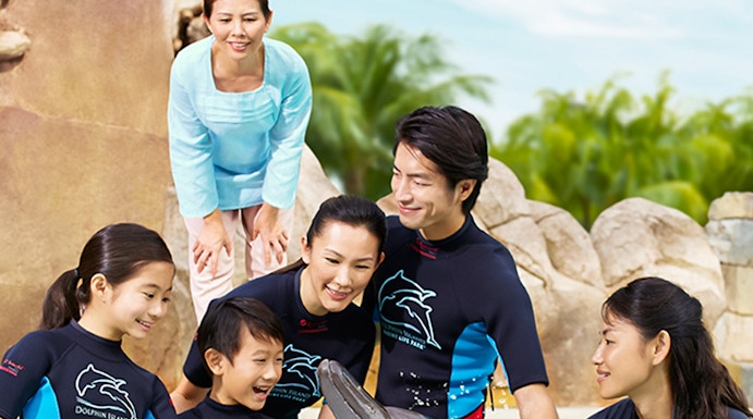 Group interacting with a dolphin at Dolphin Island, wearing wetsuits by a pool.