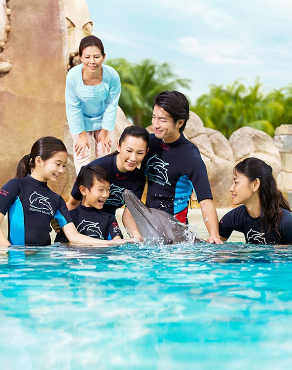Group interacting with a dolphin at Dolphin Island, wearing wetsuits by a pool.