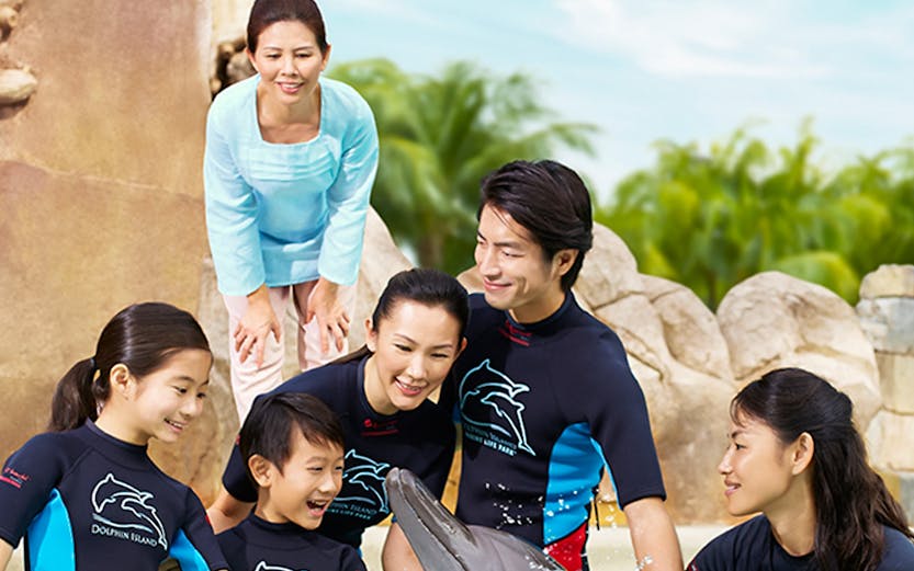 Group interacting with a dolphin at Dolphin Island, wearing wetsuits by a pool.