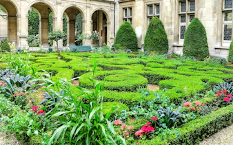 Musee Carnavalet garden with manicured hedges and flowers, Paris.