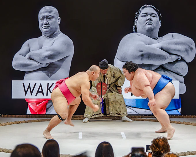 The Sumo Hall Hirakuza Osaka Admission Ticket