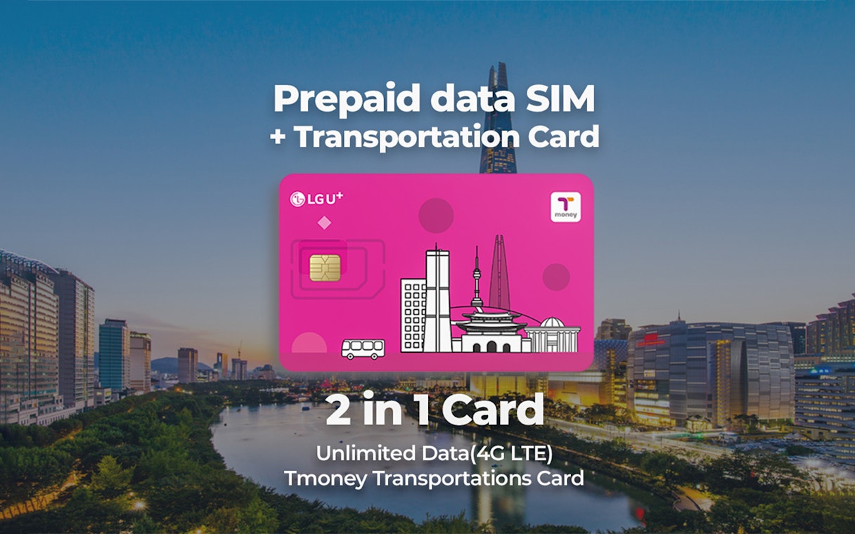 Prepaid SIM and transportation card with Seoul skyline, featuring Lotte World Tower.