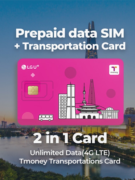 Prepaid SIM and transportation card with Seoul skyline, featuring Lotte World Tower.