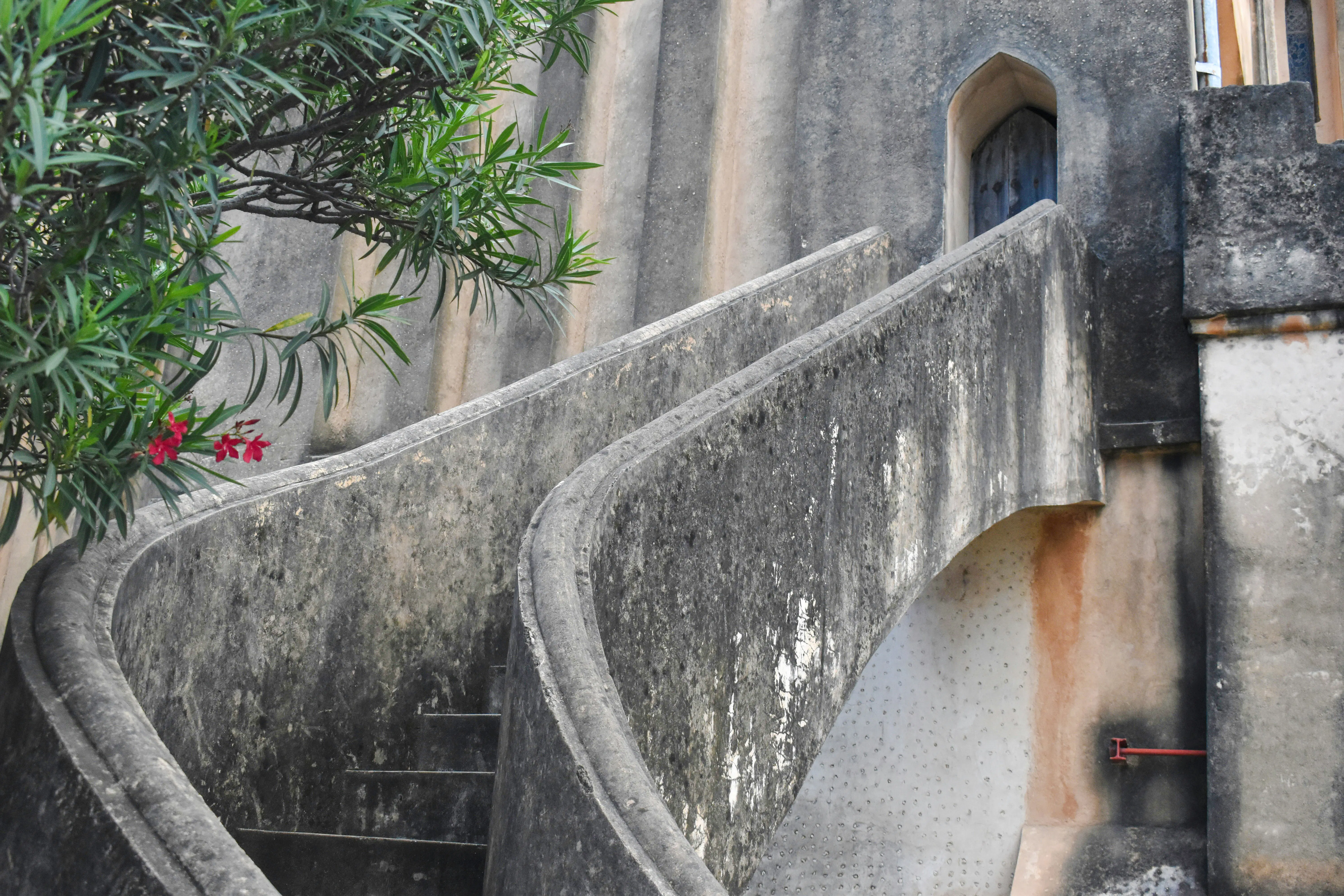 Stone Town historic staircase with archway and greenery, Zanzibar tour.