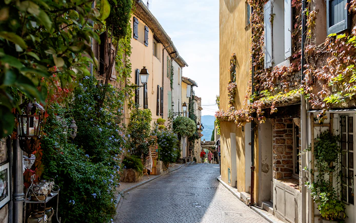 Narrow cobblestone street in Bandol, France, lined with ivy-covered buildings.