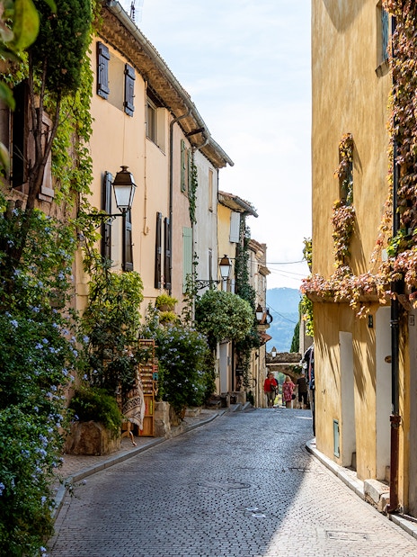 Narrow cobblestone street in Bandol, France, lined with ivy-covered buildings.