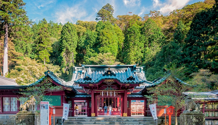Hakone Shrine entrance with visitors, surrounded by lush forest in Japan.
