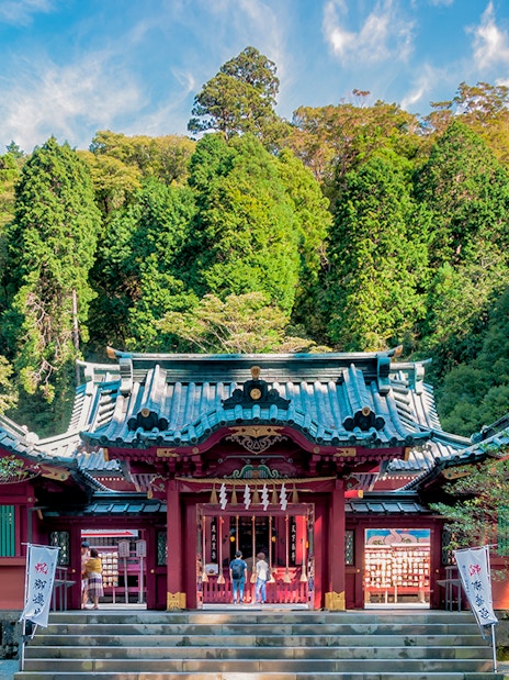 Hakone Shrine entrance with visitors, surrounded by lush forest in Japan.