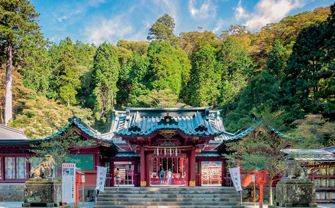 Hakone Shrine entrance with visitors, surrounded by lush forest in Japan.
