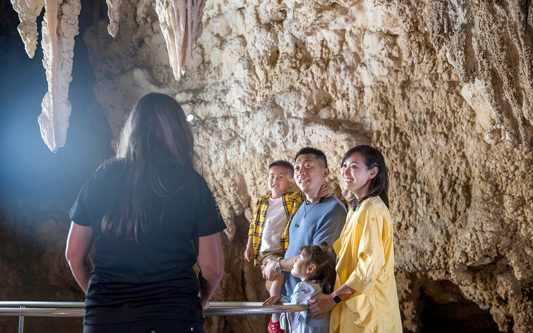 Family exploring Waitomo Caves with a guide, featuring stalactites, on Auckland tour.