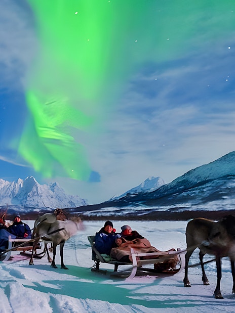 Tourists on reindeer sleds under Northern Lights in Tromso, Norway.