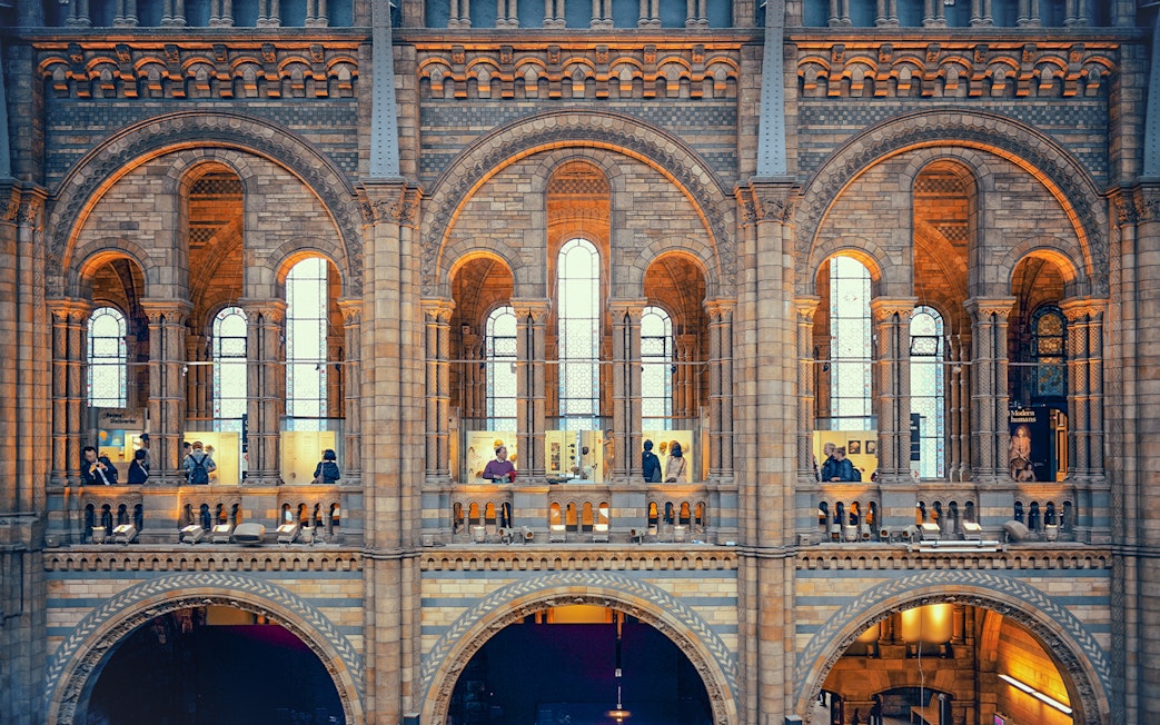 Visitors exploring exhibits at the Natural History Museum, London.