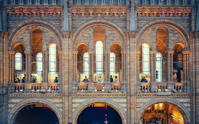 Visitors exploring exhibits at the Natural History Museum, London.