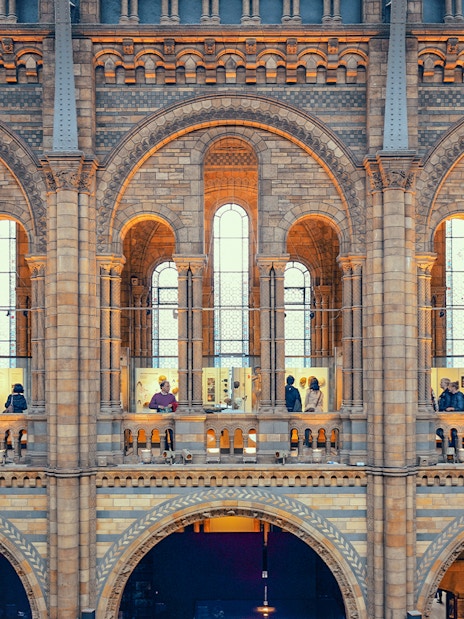 Visitors exploring exhibits at the Natural History Museum, London.