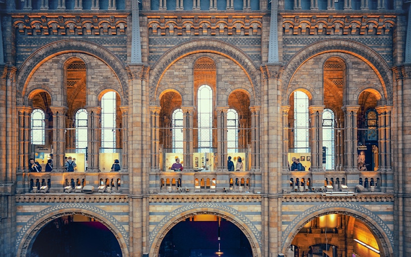 Visitors exploring exhibits at the Natural History Museum, London.