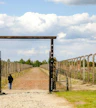 tours auschwitz