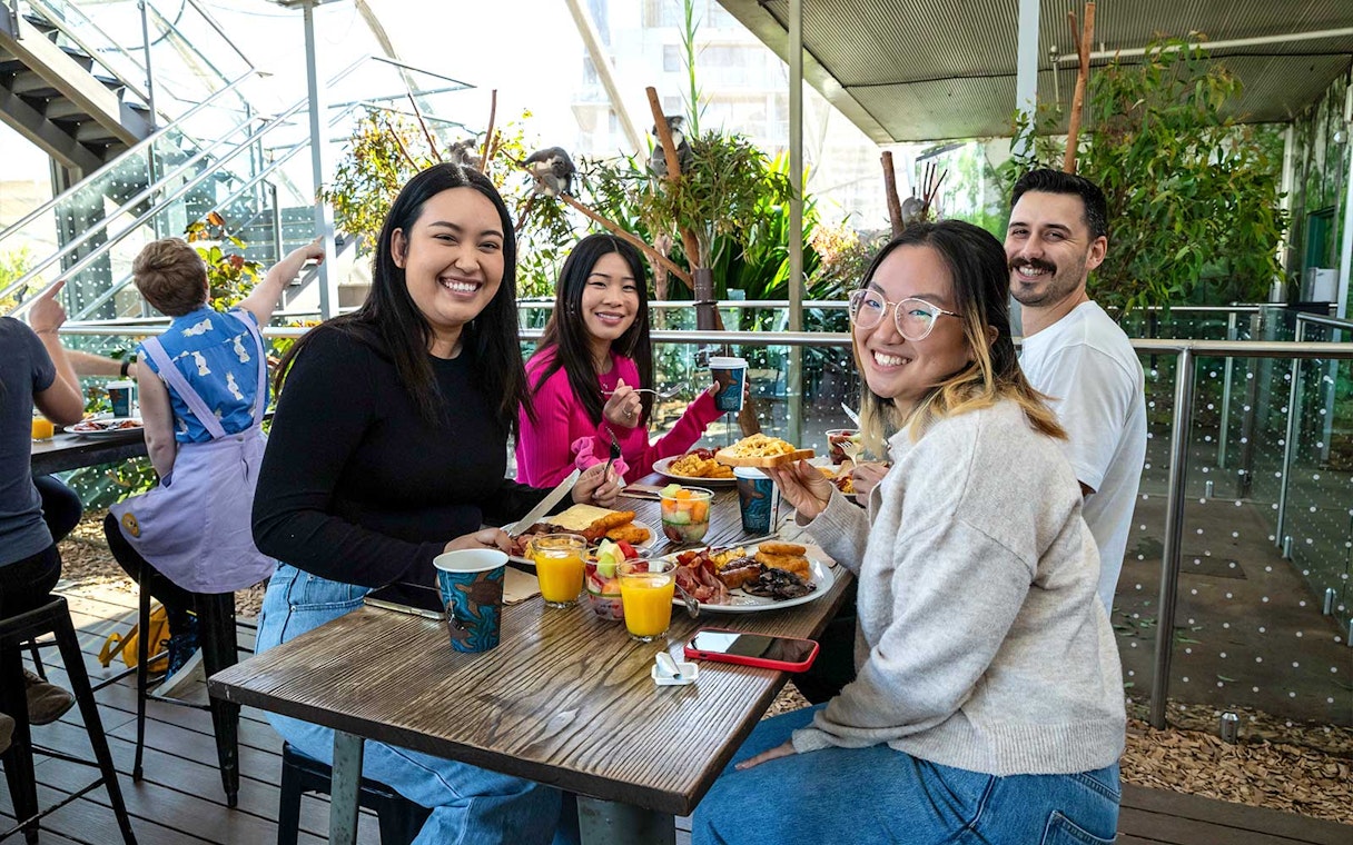 Visitors enjoying breakfast with koalas at WILD LIFE Sydney Zoo.