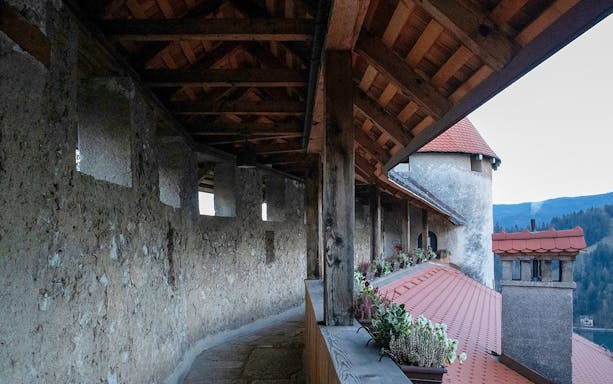 Bled Castle defense wall with flowers and view of the surrounding landscape.