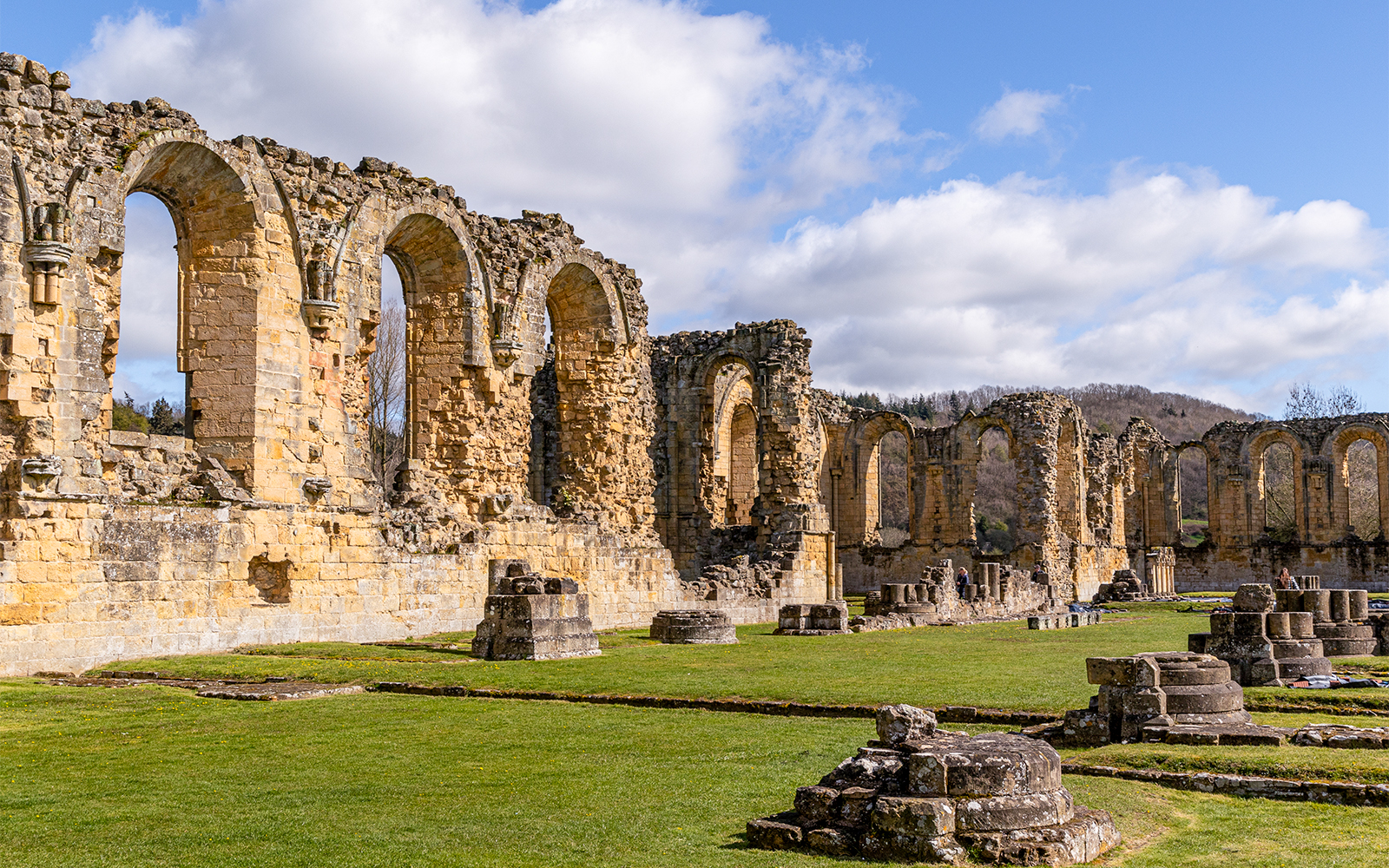 Guided Tours of the Roman Forum