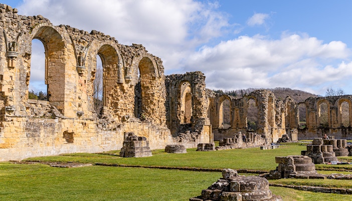 Guided Tours of the Roman Forum
