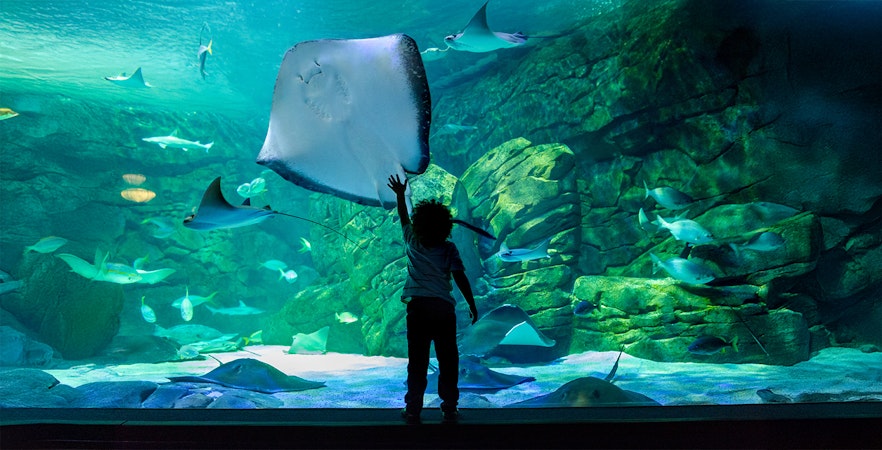 Under water world Pattaya