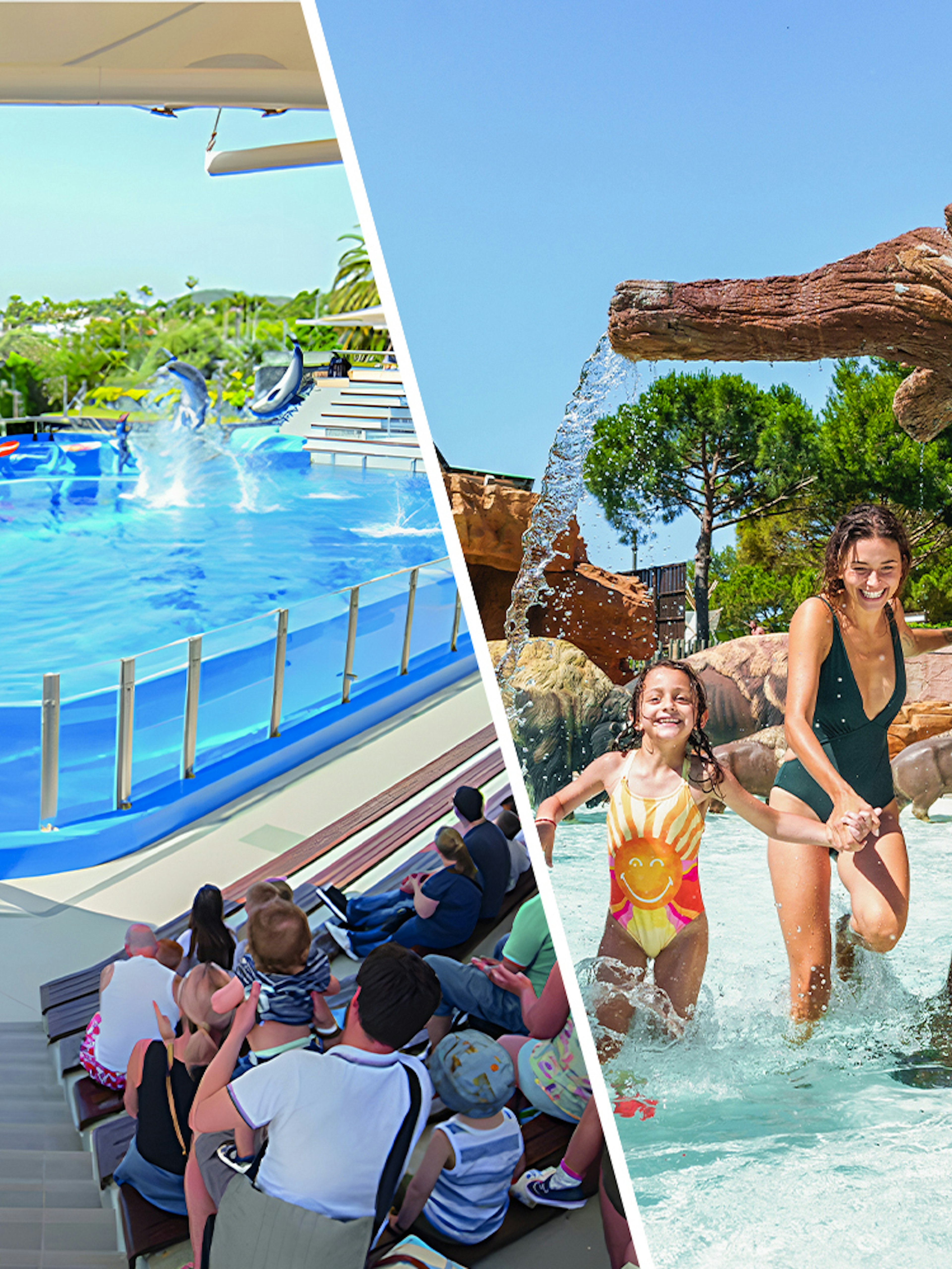 Dolphins performing at Marineland Mallorca with audience watching.