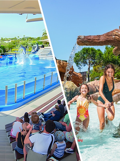 Dolphins performing at Marineland Mallorca with audience watching.
