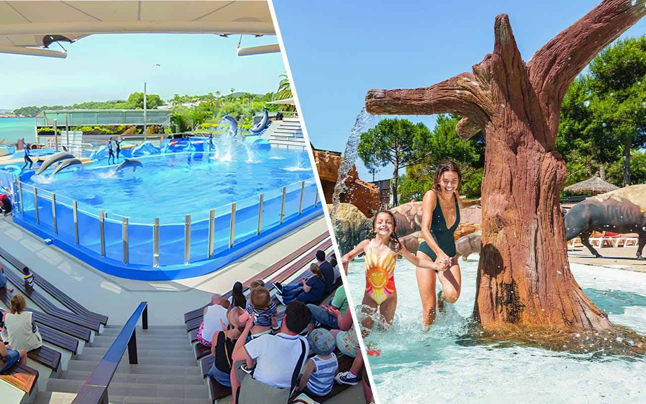 Dolphins performing at Marineland Mallorca with audience watching.