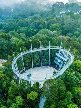 Aerial view of the canopy walk at The Habitat Penang Hill surrounded by lush forest.