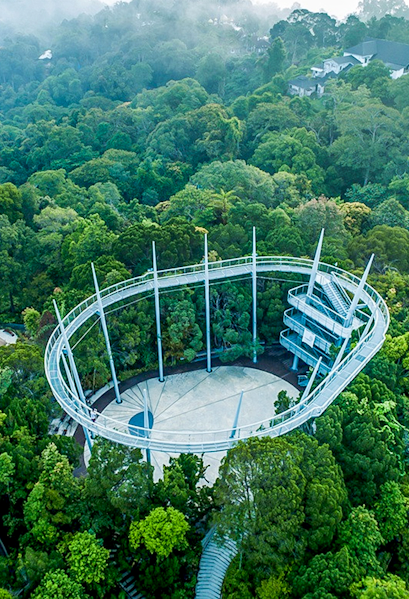 Aerial view of the canopy walk at The Habitat Penang Hill surrounded by lush forest.