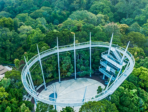 Aerial view of the canopy walk at The Habitat Penang Hill surrounded by lush forest.